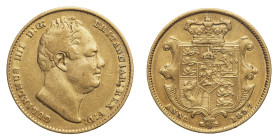 William IV (1830-1837) - Gold Sovereign 1837 - Mint: London - Obverse: Bare head right - Reverse: Crowned shield - gr. 7,98 - Good very fine Friedberg...