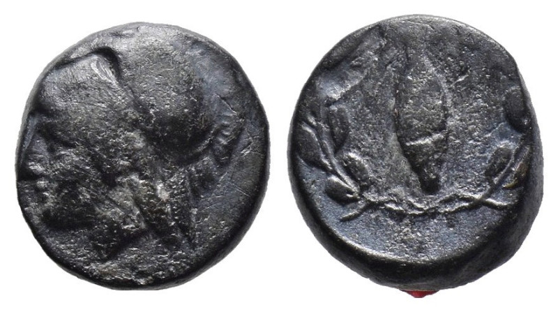 (Bronze, 1.30g 10mm)

AIOLIS, Elaia. After 340 BC. AE