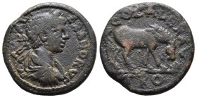 (Bronze, 7.42g 23mm)

Severus Alexander, 222-235.
Æs, Alexandria Troas