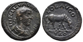 (Bronze, 5.82g 22mm)

Severus Alexander, 222-235.
Æs, Alexandria Troas