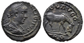 (Bronze, 4.70g 20mm)

Gallienus
