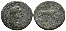 (Bronze, 8.59g 23mm)

Caracalla Æ23 of Alexandria, Troas. AD 211-217. AV M AV ANTONIN, Laureate and cuirassed bust right / COL ALEXAND AVG