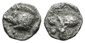 (Silver, 0.68g 10mm)

Mysia, Kyzikos AR Hemiobol. Circa 450-400 BC.

Forepart of boar to left, tunny fish behind

Rev.Head of roaring lion to le...