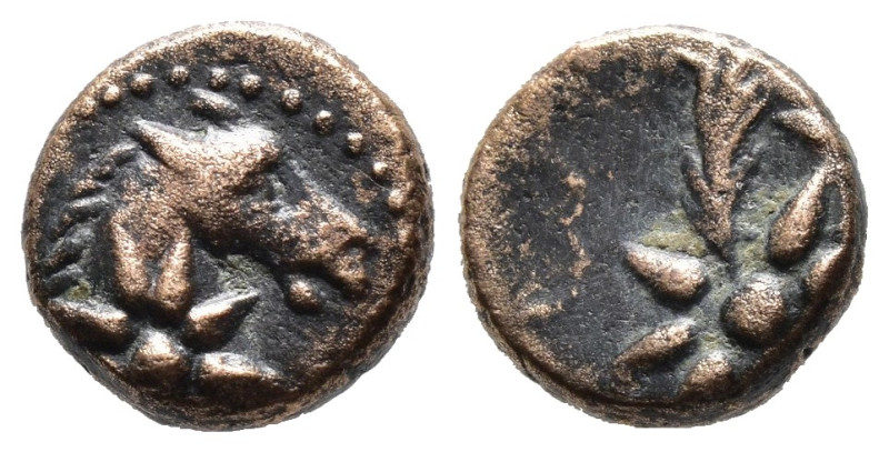 (Bronze, 1.72g 11mm)

Uncertain Bosporus and Pontus. AE12