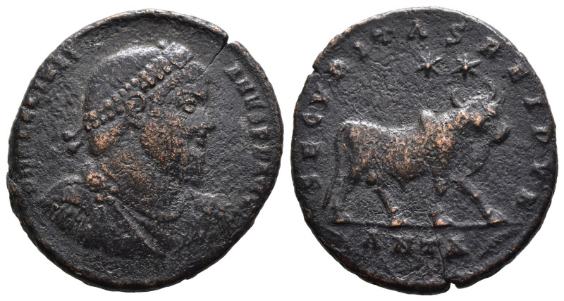 (Bronze, 7.92g 25mm)

Julianus II Apostata (360-363). AE Nummus