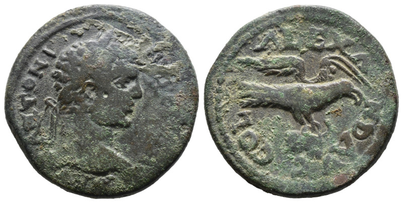 (Bronze, 8.08g 25mm)

Troas, Alexandria Troas. Caracalla. A.D. 198-217. AE 24