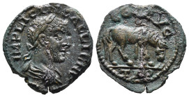 (Bronze, 3.63g 19mm)

TROAS. Alexandria. Trebonianus Gallus (251-253). Ae.