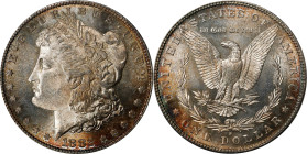 1882-S Morgan Silver Dollar. MS-64 (PCGS). CAC. OGH Generation 2.2.
PCGS# 7140. NGC ID: 254F.

Estimate: $0.00- $0.00