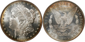 1884 Morgan Silver Dollar. MS-64 (PCGS). OGH Generation 3.0.
PCGS# 7150. NGC ID: 254L.

Estimate: $0.00- $0.00