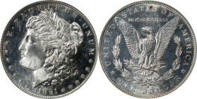 1891-S Morgan Silver Dollar. MS-63 (PCGS). OGH Generation 3.0.
PCGS# 7210. NGC ID: 255K.

Estimate: $0.00- $0.00