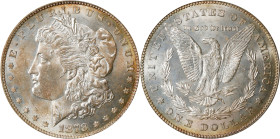 1878 Morgan Silver Dollar. 7 Tailfeathers. Reverse of 1878. MS-63 (PCGS).
PCGS# 7074. NGC ID: 253K.

Estimate: $0.00- $0.00