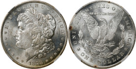 1878-CC Morgan Silver Dollar. MS-62 (NGC).
PCGS# 7080. NGC ID: 253M.

Estimate: $0.00- $0.00