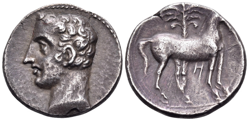 SPAIN. Punic Spain. Circa 237-209 BC. Shekel (Silver, 21 mm, 6.08 g, 1 h). Male ...