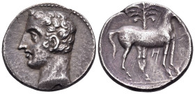 SPAIN. Punic Spain. Circa 237-209 BC. Shekel (Silver, 21 mm, 6.08 g, 1 h). Male head to left. Rev. Horse standing right; in background, palm tree; bel...