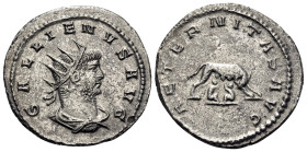 Gallienus, 253-268. Antoninianus (Billon, 22 mm, 3.18 g, 4 h), Antioch, 264-265. GALLIENVS AVG Radiate, draped and cuirassed bust of Gallienus to righ...