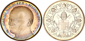 Vatican Silver Medal "Visit of John Paul II to Belgium" 1985