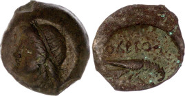 Ancient Greece Olbia (Black Sea) Dihalk 350 - 330 BC Demeter