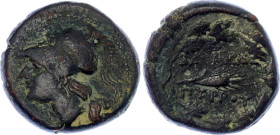 Ancient Greece Sicily Syracuse AE19 Pyrrhos 278 - 275 BC