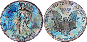 United States 1 Dollar 1986