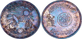 Egypt 1 Pound 1981 AH 1401