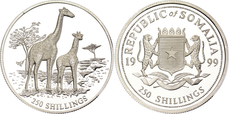 Somalia 250 Shillings 1999

KM# 105, N# 141141; Silver., Proof; Giraffes; Mint...