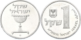 Israel 1 Sheqel 1981 JE 5741 Piedfort