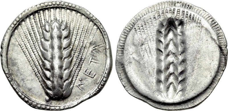 LUCANIA. Metapontion. Nomos - Stater (Circa 540-510 BC).

Obv: META.
Barley e...
