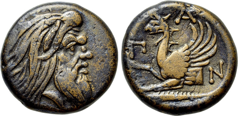 CIMMERIAN BOSPOROS. Pantikapaion. Ae (Circa 310-304/3 BC). 

Obv: Bearded head...