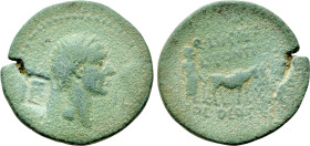 MYSIA. Lampsacus. Julius Caesar (Circa 45 BC). Ae. Q. Lucretius and L. Pontius, duoviri
