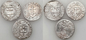 Medieval coins
POLSKA / POLAND / POLEN / SCHLESIEN

Kazimierz IV Jagiellończyk. Szelag (Schilling), bez daty Torun, set 3 coins 

Obiegowe sztuki...