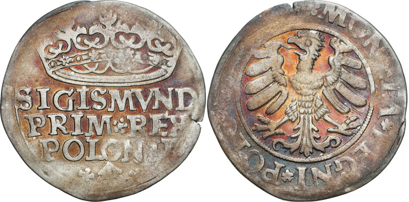 Sigismund I Old
POLSKA/ POLAND/ POLEN / POLOGNE / POLSKO

Zygmunt I Stary. Gr...