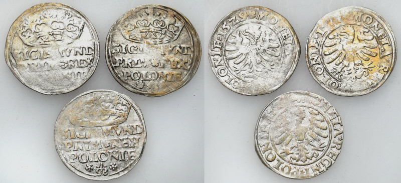 Sigismund I Old
POLSKA/ POLAND/ POLEN / POLOGNE / POLSKO

Zygmunt I Stary. Gr...