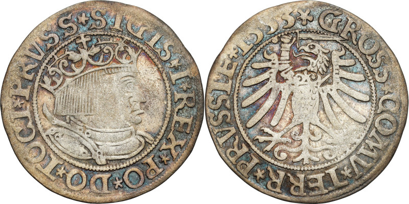 Sigismund I Old
POLSKA/ POLAND/ POLEN / POLOGNE / POLSKO

Zygmunt I Stary. Gr...