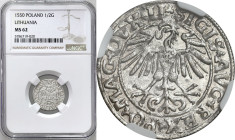 Sigismund II August
POLSKA/ POLAND/ POLEN / POLOGNE / POLSKO / LITHUANIEN / VILNIUS

Zygmunt II August. Polgrosz (Half groschen) 1550, Vilnius NGC ...