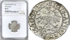 Sigismund II August
POLSKA/ POLAND/ POLEN / POLOGNE / POLSKO / LITHUANIEN / VILNIUS

Zygmunt II August. Polgrosz (Half groschen) 1556, Vilnius NGC ...