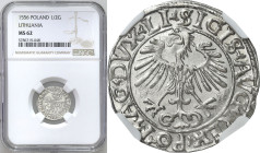 Sigismund II August
POLSKA/ POLAND/ POLEN / POLOGNE / POLSKO / LITHUANIEN / VILNIUS

Zygmunt II August. Polgrosz (Half groschen) 1556, Vilnius NGC ...