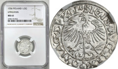 Sigismund II August
POLSKA/ POLAND/ POLEN / POLOGNE / POLSKO / LITHUANIEN / VILNIUS

Zygmunt II August. Polgrosz (Half groschen) 1556, Vilnius NGC ...