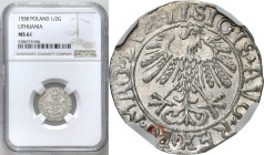 Sigismund II August
POLSKA/ POLAND/ POLEN / POLOGNE / POLSKO / LITHUANIEN / VILNIUS

Zygmunt II August. Polgrosz (Half groschen) 1558, Vilnius NGC ...