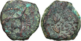 Antique coins: Judea
RÖMISCHEN REPUBLIK / GRIECHISCHE MÜNZEN / BYZANZ / ANTIK / ANCIENT / ROME / GREECE / RÖMISCHEN KAISERZEIT / CELTISHE / BIBLISHE...