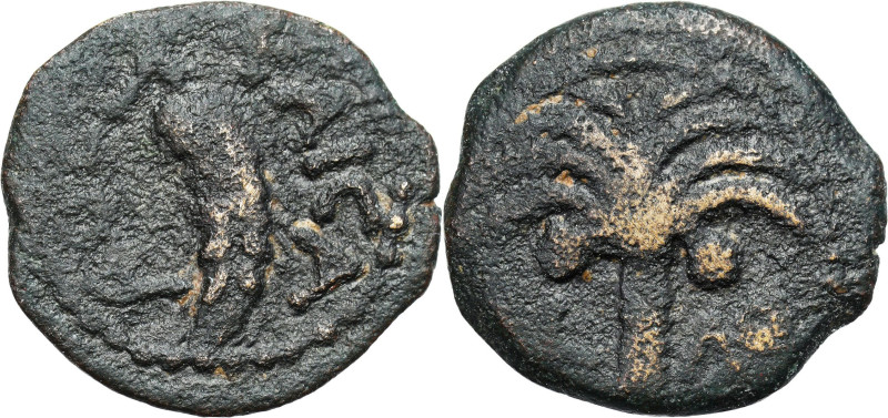 Antique coins: Judea
RÖMISCHEN REPUBLIK / GRIECHISCHE MÜNZEN / BYZANZ / ANTIK /...