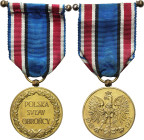 PHALERISTICS: Orders, badges, decorations
POLSKA / POLAND / POLEN / POLSKO / RUSSIA / LVIV / BADGE / ORDER 

II RP. Medal 1921 Poland to Her Defend...