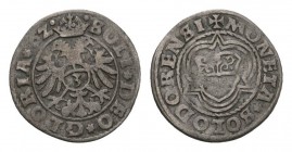 Solothurn 1562 Groschen in Silber 2.3g VARIANTE MONETA PUNKT HMZ 2-826a sehr schön