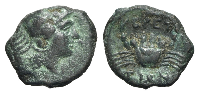 Bruttium, The Brettii, c. 214-211 BC. Æ (12mm, 0.84g, 12h). Head of sea-goddess ...