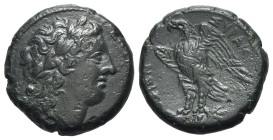 Sicily, Syracuse. Hiketas II (287-278 BC). Æ (21.5mm, 8.62g, 1h), c. 283-279. Laureate head of Zeus Hellanios r. R/ Eagle standing l. on thunderbolt. ...