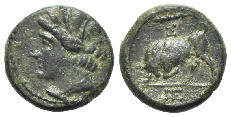 Sicily, Syracuse. Hieron II (275-215 BC). Æ (17mm, 4.68g, 3h), c. 275-269 BC. Wr...