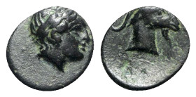 Aeolis, Aigai, 4th-3rd centuries BC. Æ (10mm, 0.82g, 9h). Laureate head of Apollo r. R/ Head of goat r. SNG Copenhagen 2; SNG von Aulock 1593. Green p...