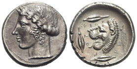 Sicily, Leontinoi, c. 430-425 BC. Replica of Tetradrachm (27mm, 16.08g, 12h). Laureate head of Apollo l. R/ Head of roaring lion r.; three barley grai...