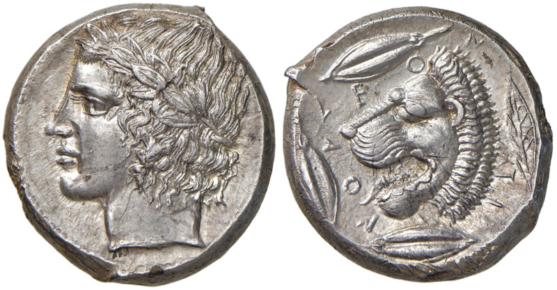 SICILIA Leontini - Tetradramma (circa 430-420 a.C.) testa laureata di Apollo a s...