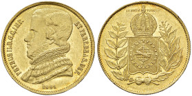 BRASILE Pietro II (1831-1889) 20.000 Reis 1851 - KM 461 AU (g 17,92) Minimo colpetto al bordo
FDC