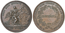 MEDAGLIE NAPOLEONICHE - BRESCIA Medaglia 1799 ristabilimento dell'ordine a Brescia per opera del prefetto Cocastelli - Opus: Salvirch - AE (g 40,79 - ...